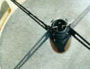 spider_holder.jpg (67259 Byte)